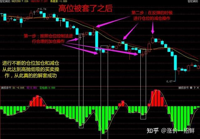 2025珠海马拉松12月7日回归 赛事报名即将启动